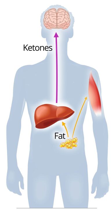 Ketoze ar NexaSlim
